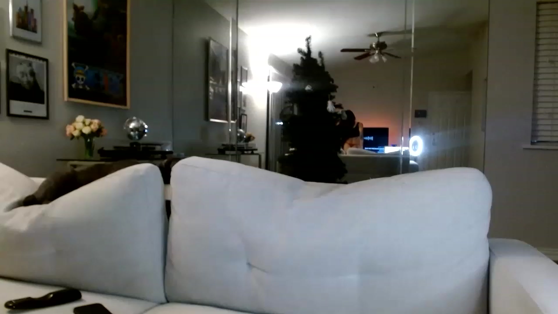 Gallery image thumbnail from Lina6666's myfreecams stream on, 12/12/2022, 11:14 image 1 of 20