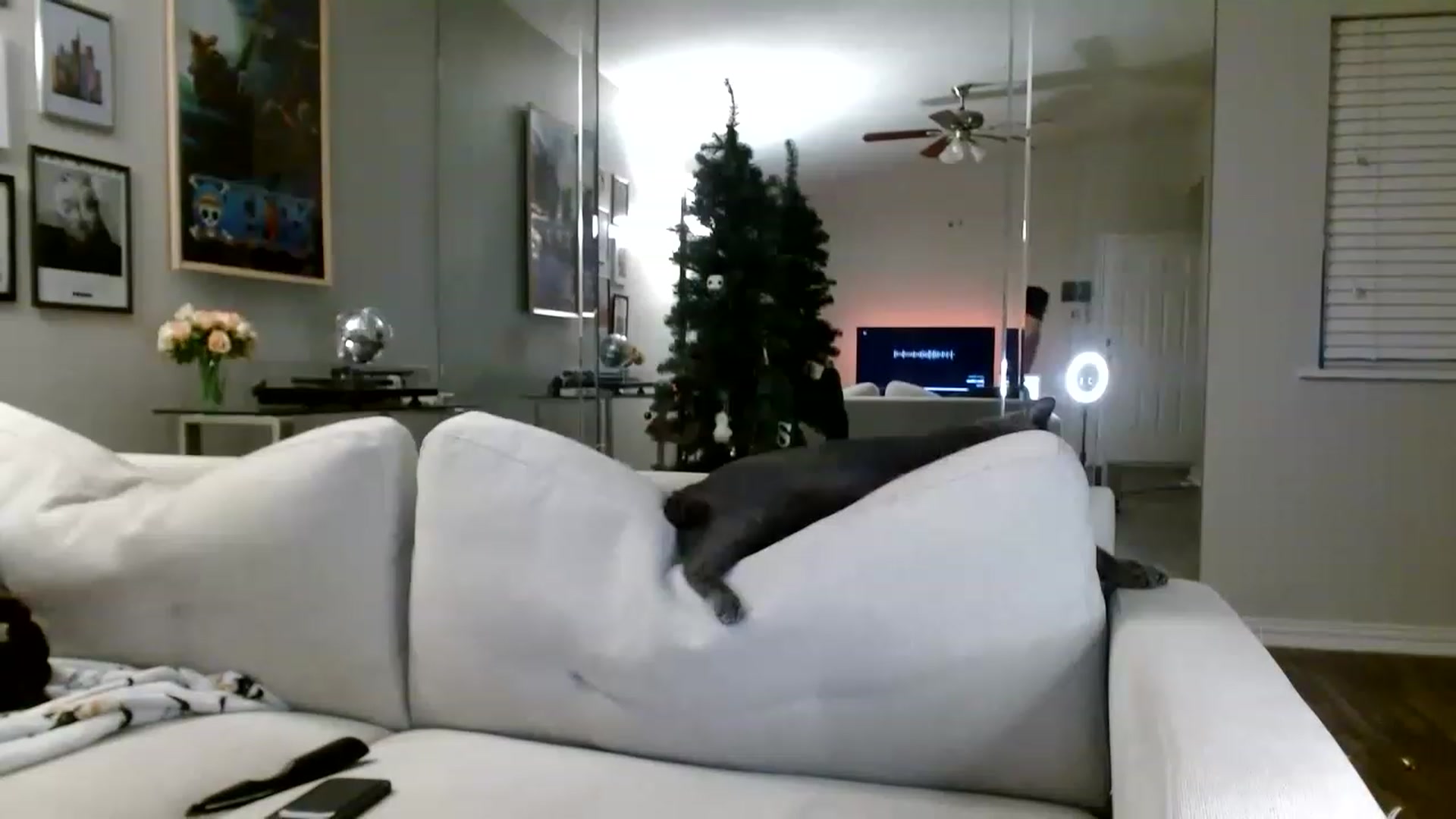 Gallery image thumbnail from Lina6666's myfreecams stream on, 12/26/2022, 09:33 image 17 of 20
