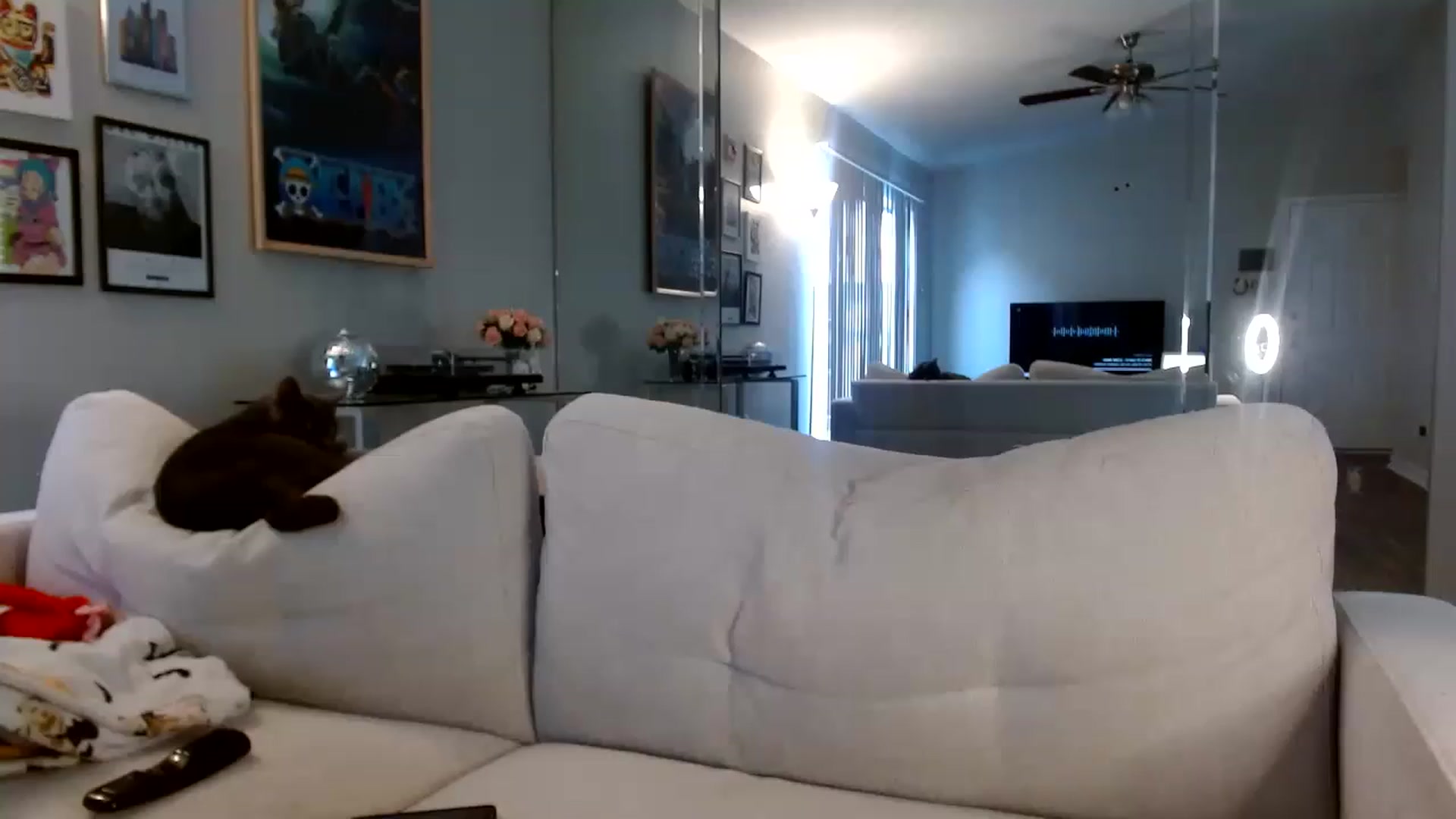Gallery image thumbnail from Lina6666's myfreecams stream on, 02/26/2023, 15:21 image 13 of 20