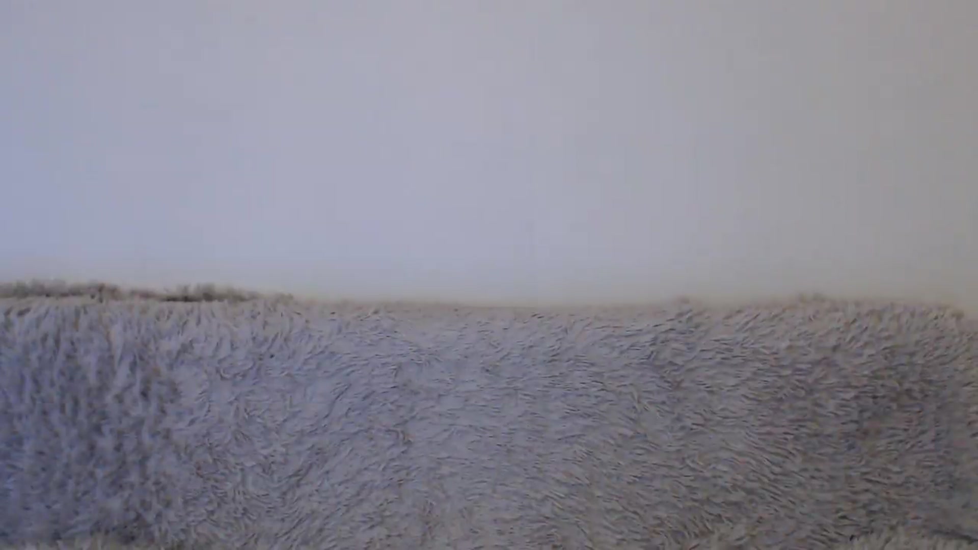 Gallery image thumbnail from LinaShawty's myfreecams stream on, 07/27/2026, 06:28 image 4 of 20