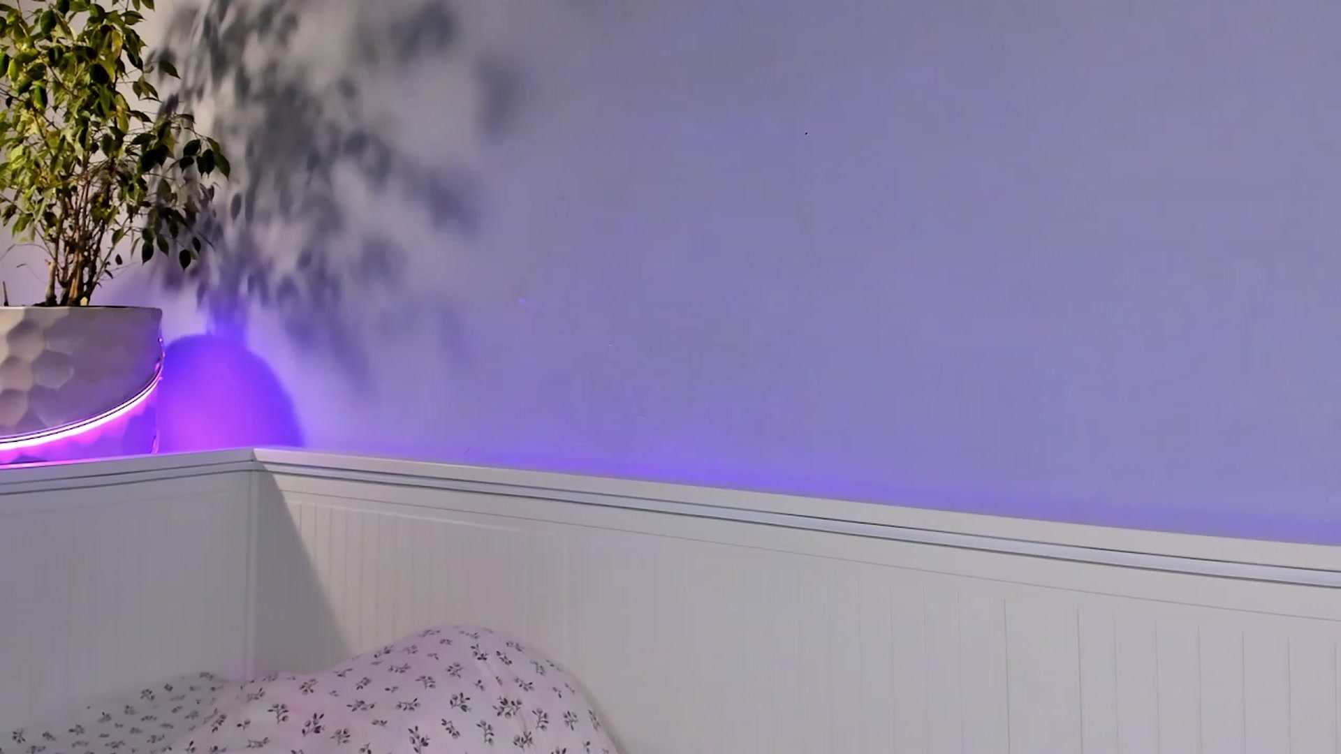 Gallery image thumbnail from Lina_Stones's myfreecams stream on, 08/28/2023, 11:41 image 20 of 20