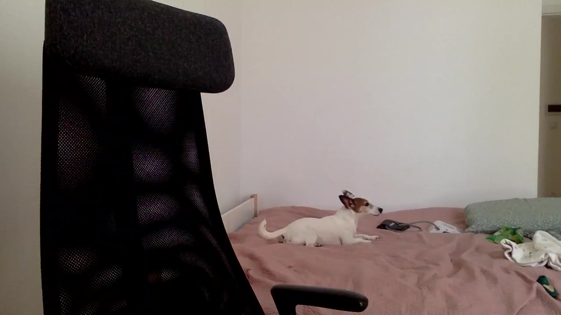 Gallery image thumbnail from Linaah6's myfreecams stream on, 09/20/2024, 12:17 image 10 of 20