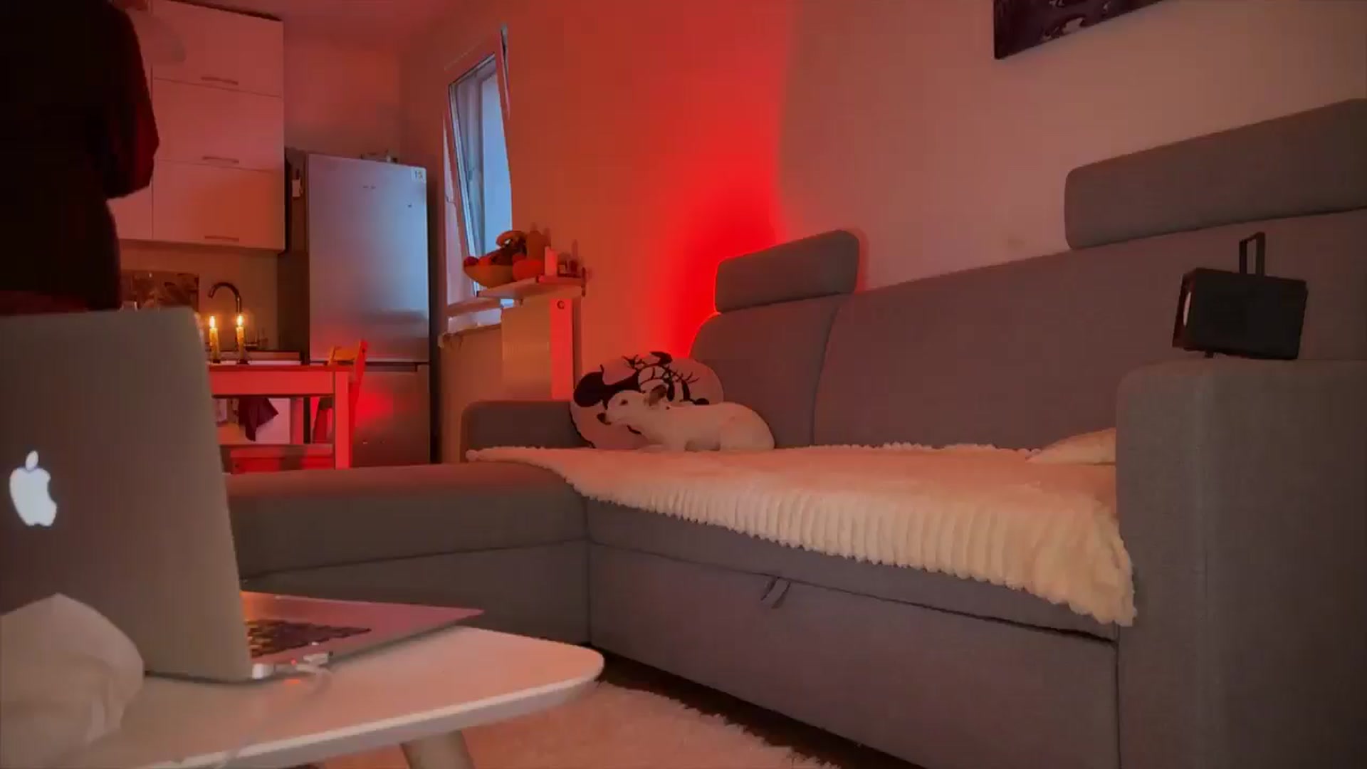 Gallery image thumbnail from Linaah6's myfreecams stream on, 12/14/2024, 15:36 image 1 of 20