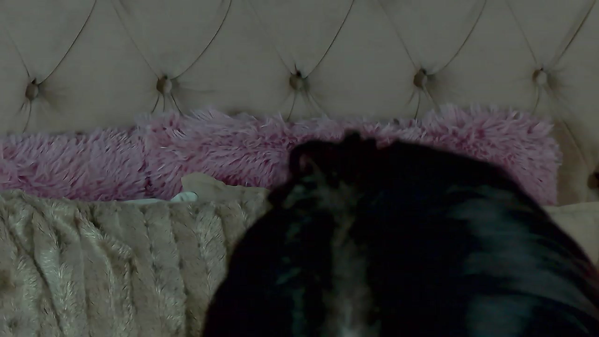 Gallery image thumbnail from LindsayDee's myfreecams stream on, 02/17/2023, 17:31 image 15 of 20
