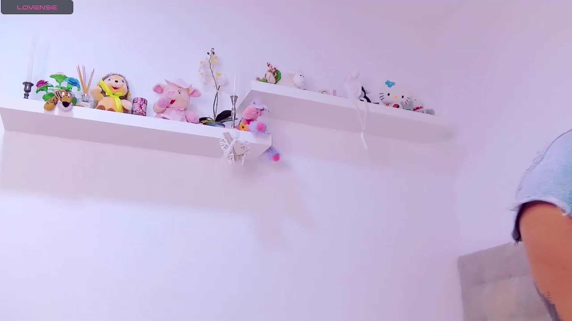 Gallery image thumbnail from LindsayDee's myfreecams stream on, 11/20/2023, 13:31 image 9 of 20