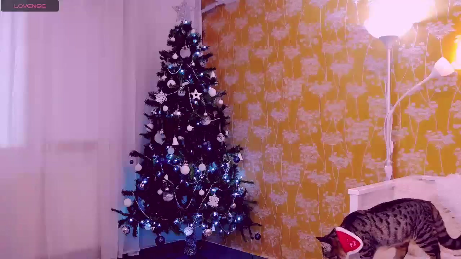 Gallery image thumbnail from LindsayDee's myfreecams stream on, 12/10/2023, 13:10 image 17 of 20