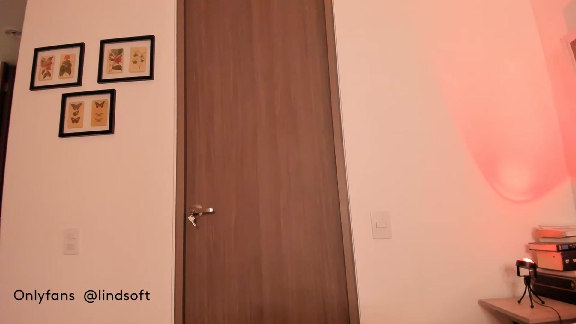 Gallery image thumbnail from Lindsoft's myfreecams stream on, 08/09/2023, 02:12 image 12 of 20