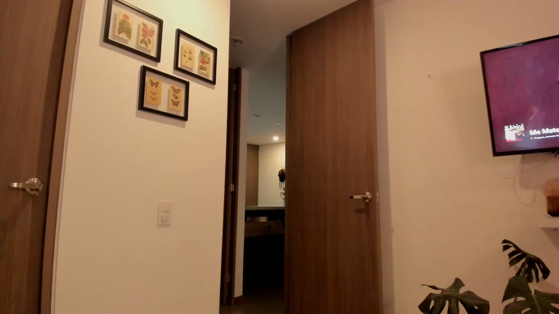Gallery image thumbnail from Lindsoft's myfreecams stream on, 11/14/2023, 02:04 image 19 of 20