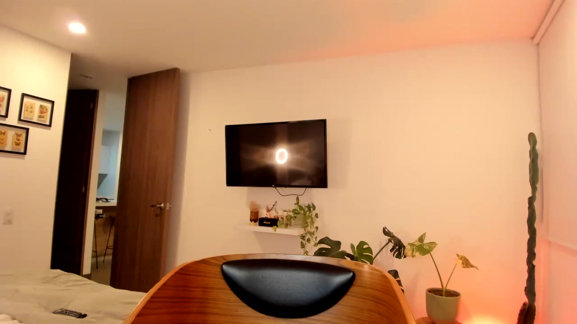 Gallery image thumbnail from Lindsoft's myfreecams stream on, 01/18/2024, 02:24 image 18 of 20
