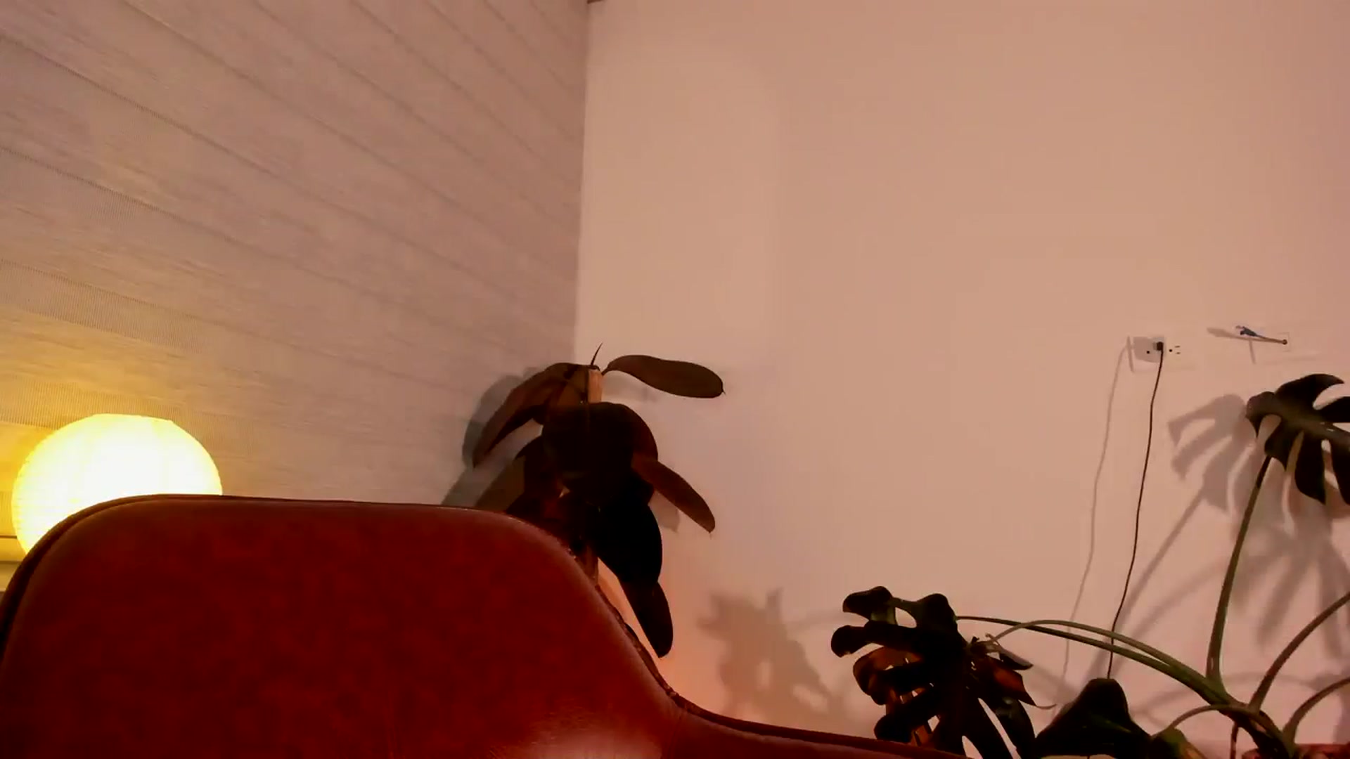 Gallery image thumbnail from Lindsoft's myfreecams stream on, 03/24/2024, 01:25 image 18 of 20
