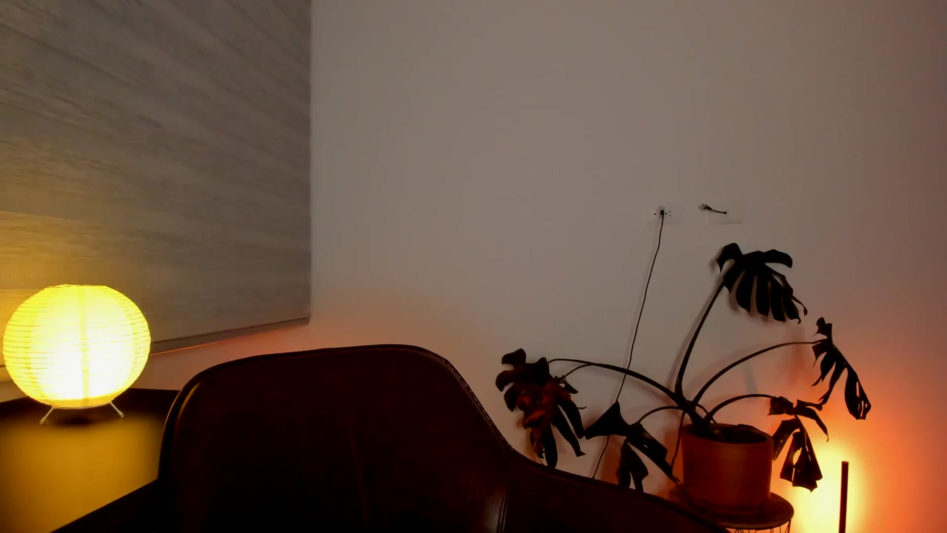 Gallery image thumbnail from Lindsoft's myfreecams stream on, 04/02/2024, 02:18 image 9 of 20