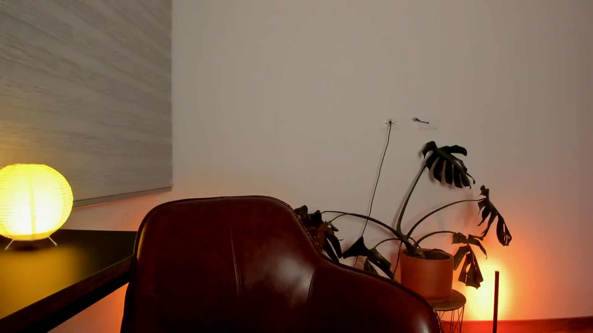 Gallery image thumbnail from Lindsoft's myfreecams stream on, 04/02/2024, 02:56 image 19 of 20