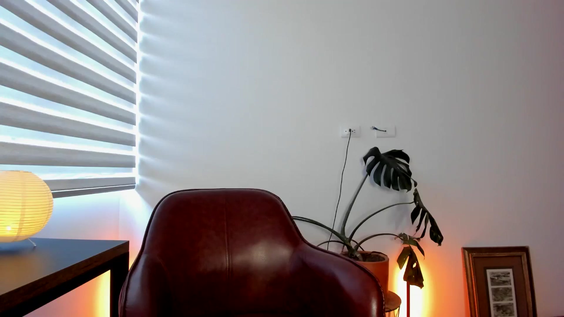 Gallery image thumbnail from Lindsoft's myfreecams stream on, 04/23/2024, 23:30 image 5 of 20
