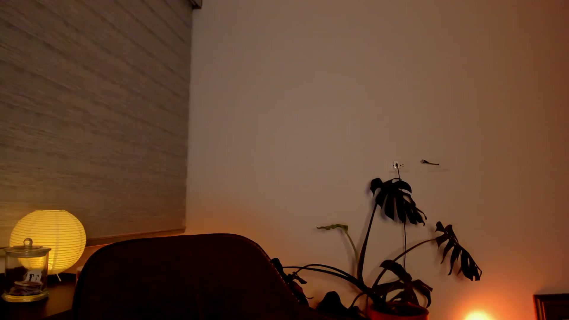 Gallery image thumbnail from Lindsoft's myfreecams stream on, 05/02/2024, 03:07 image 19 of 20