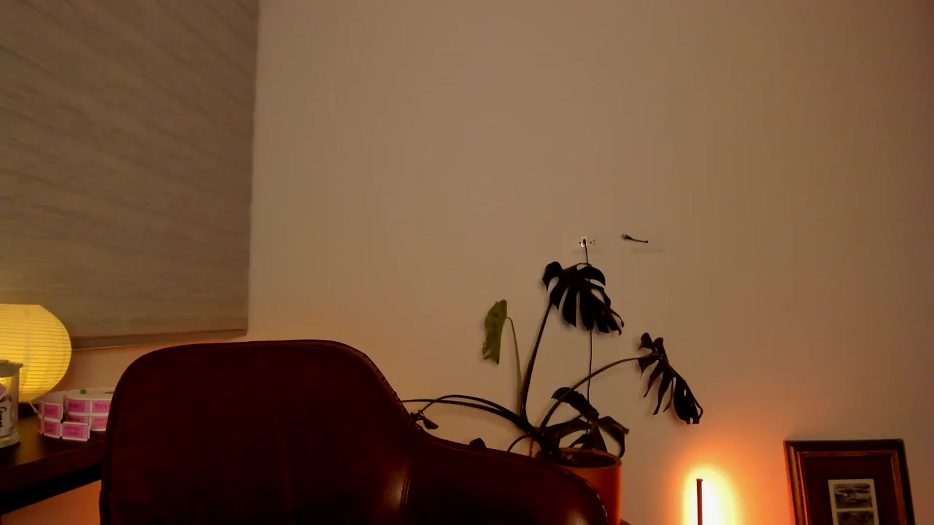 Gallery image thumbnail from Lindsoft's myfreecams stream on, 05/08/2024, 01:04 image 8 of 20