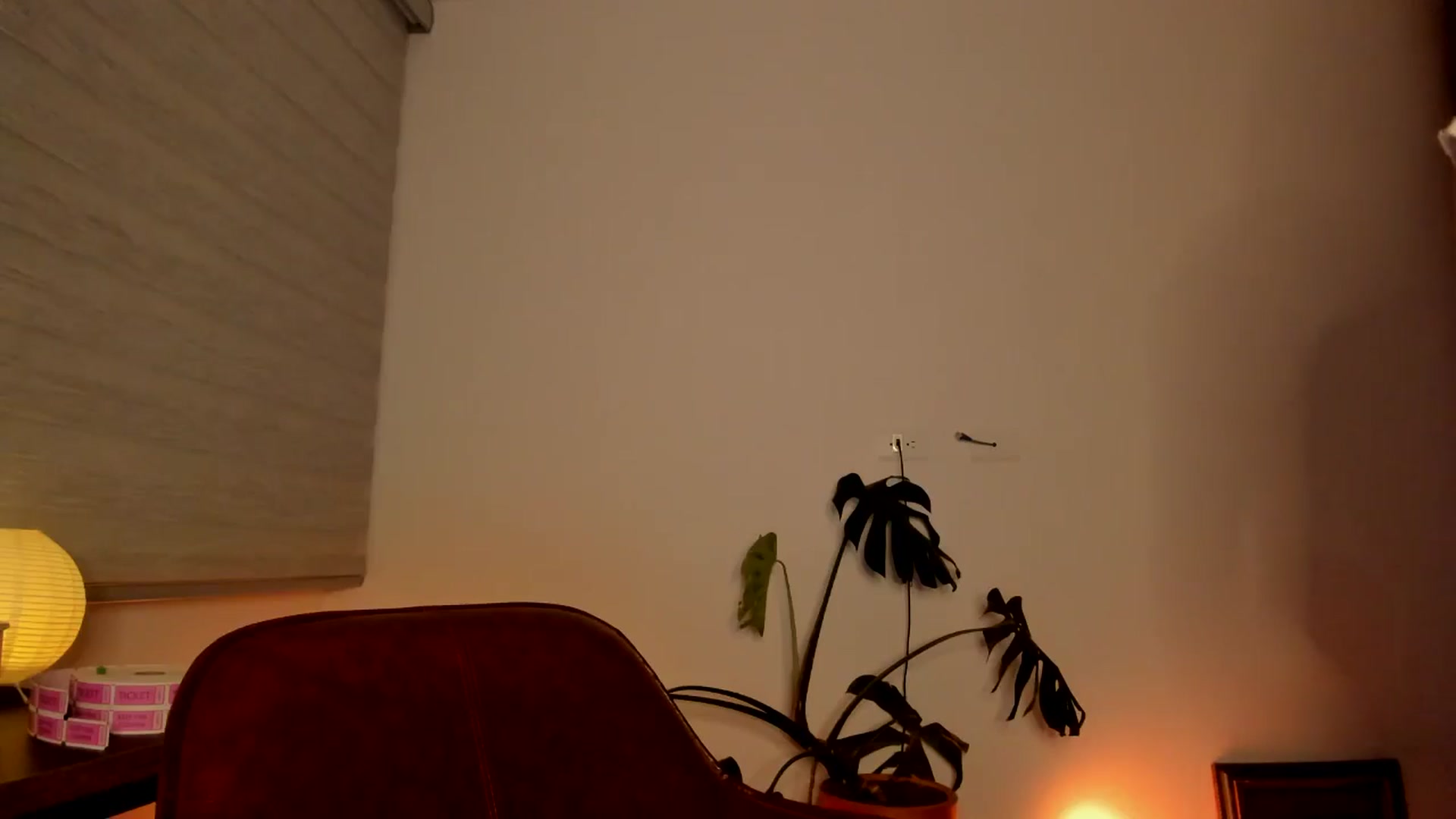 Gallery image thumbnail from Lindsoft's myfreecams stream on, 05/08/2024, 01:04 image 2 of 20