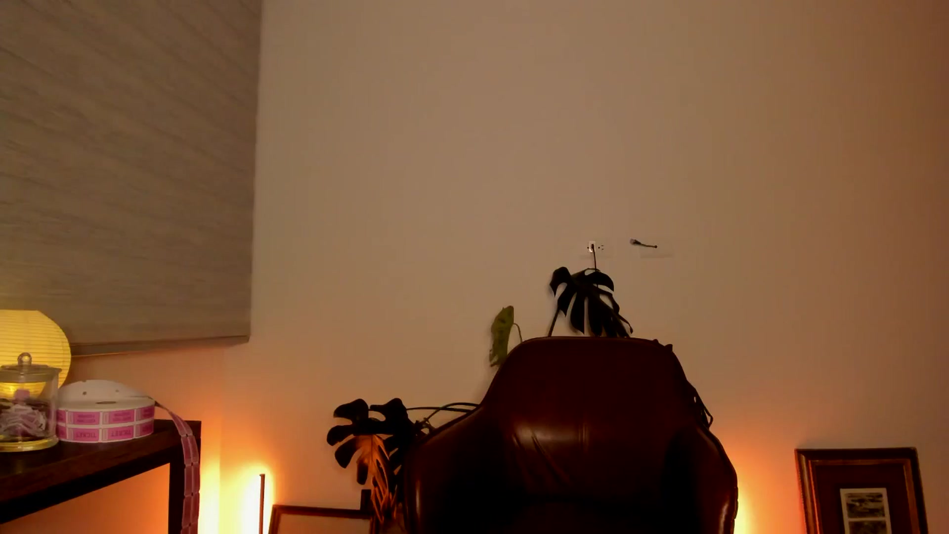 Gallery image thumbnail from Lindsoft's myfreecams stream on, 05/08/2024, 01:04 image 20 of 20