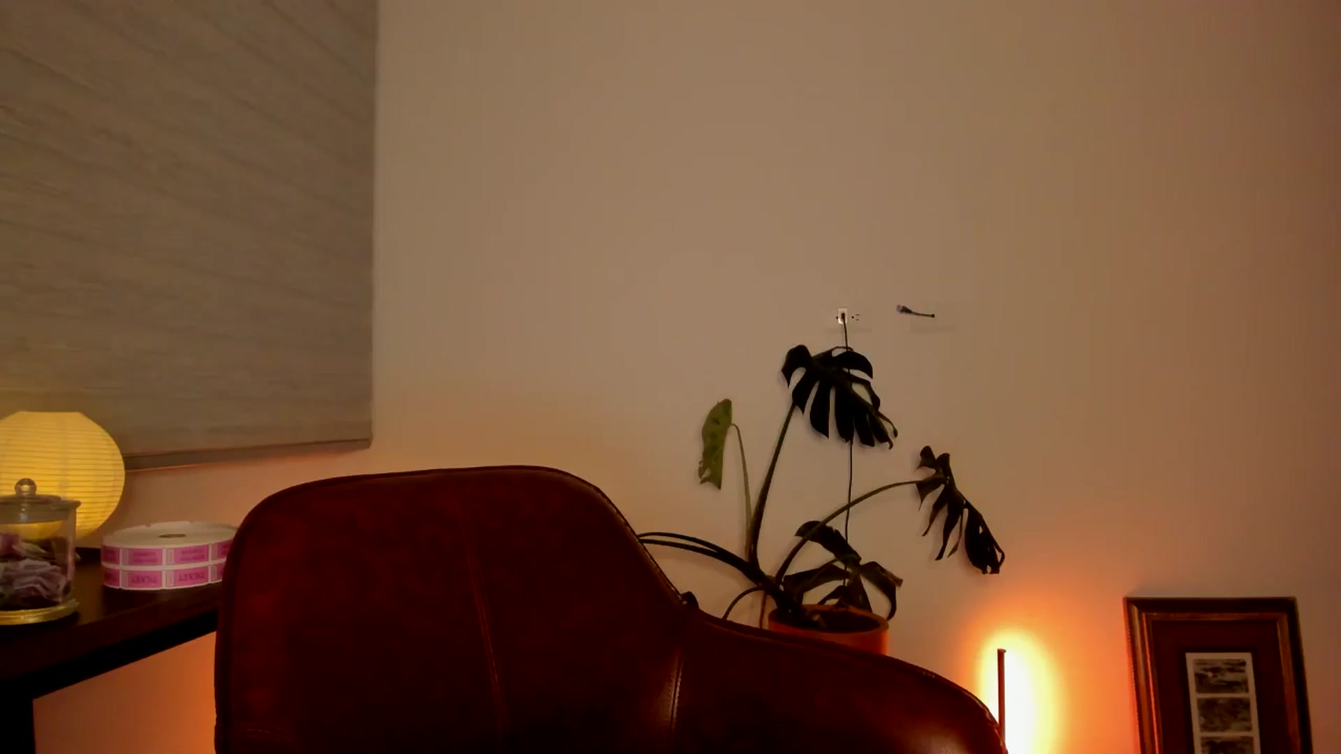 Gallery image thumbnail from Lindsoft's myfreecams stream on, 05/08/2024, 03:34 image 5 of 20