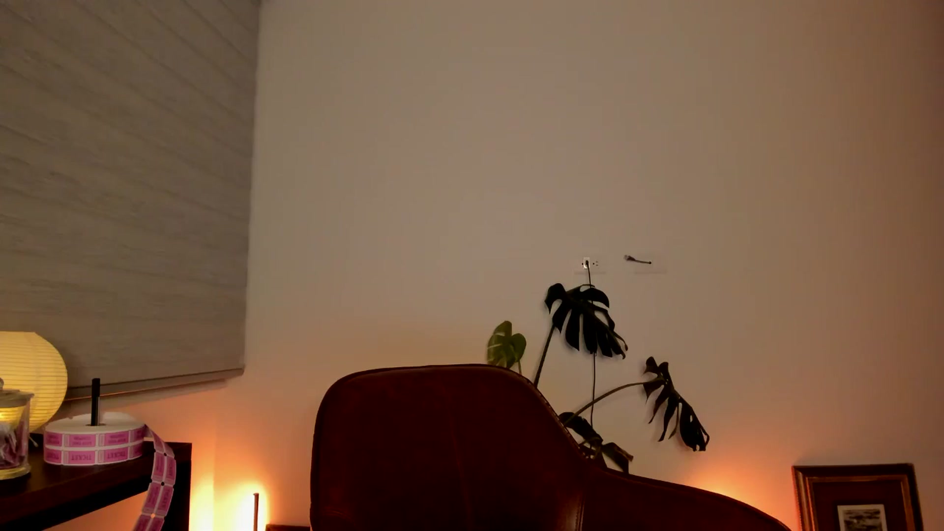 Gallery image thumbnail from Lindsoft's myfreecams stream on, 05/09/2024, 01:41 image 20 of 20