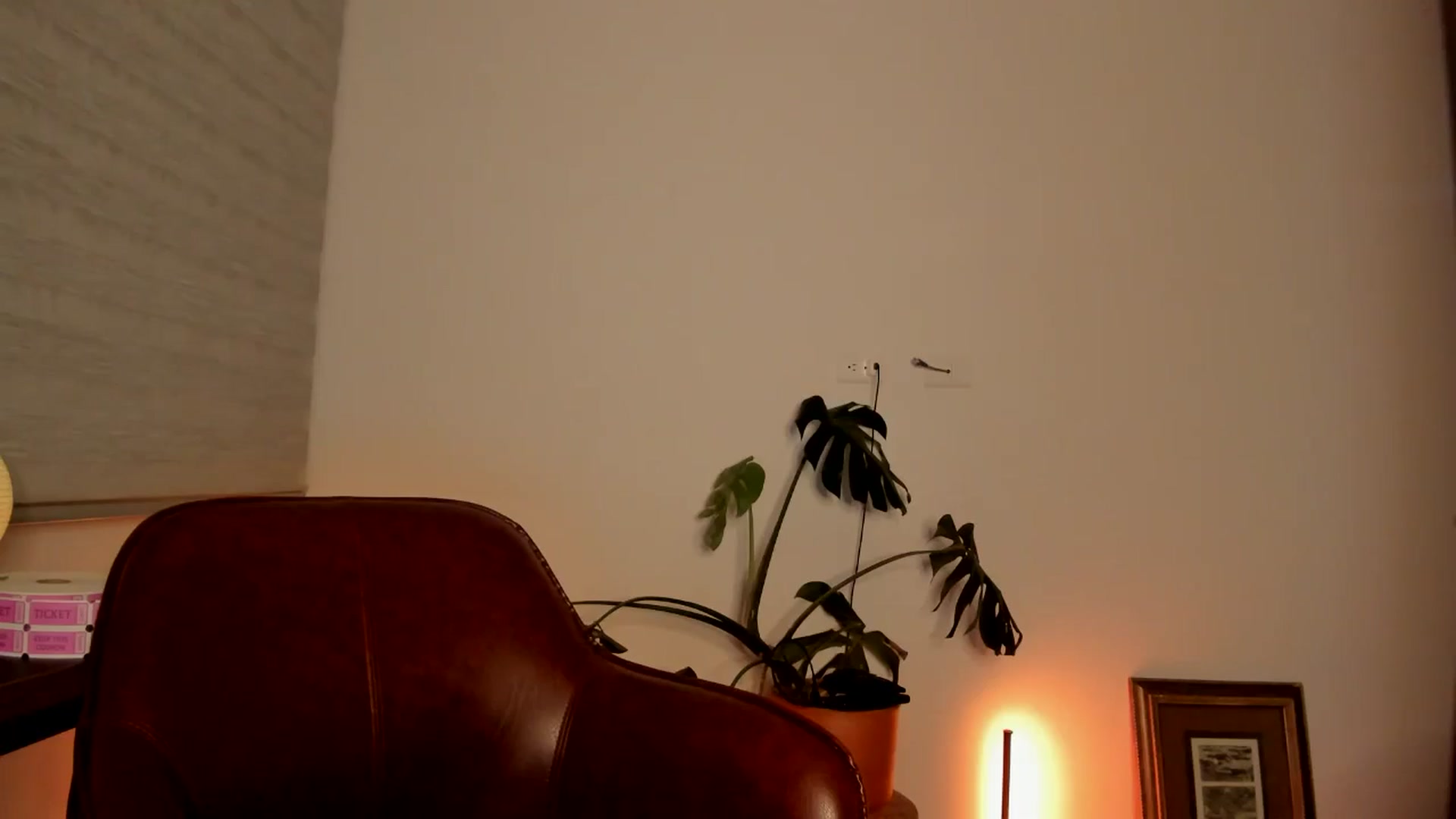 Gallery image thumbnail from Lindsoft's myfreecams stream on, 05/11/2024, 04:33 image 13 of 20