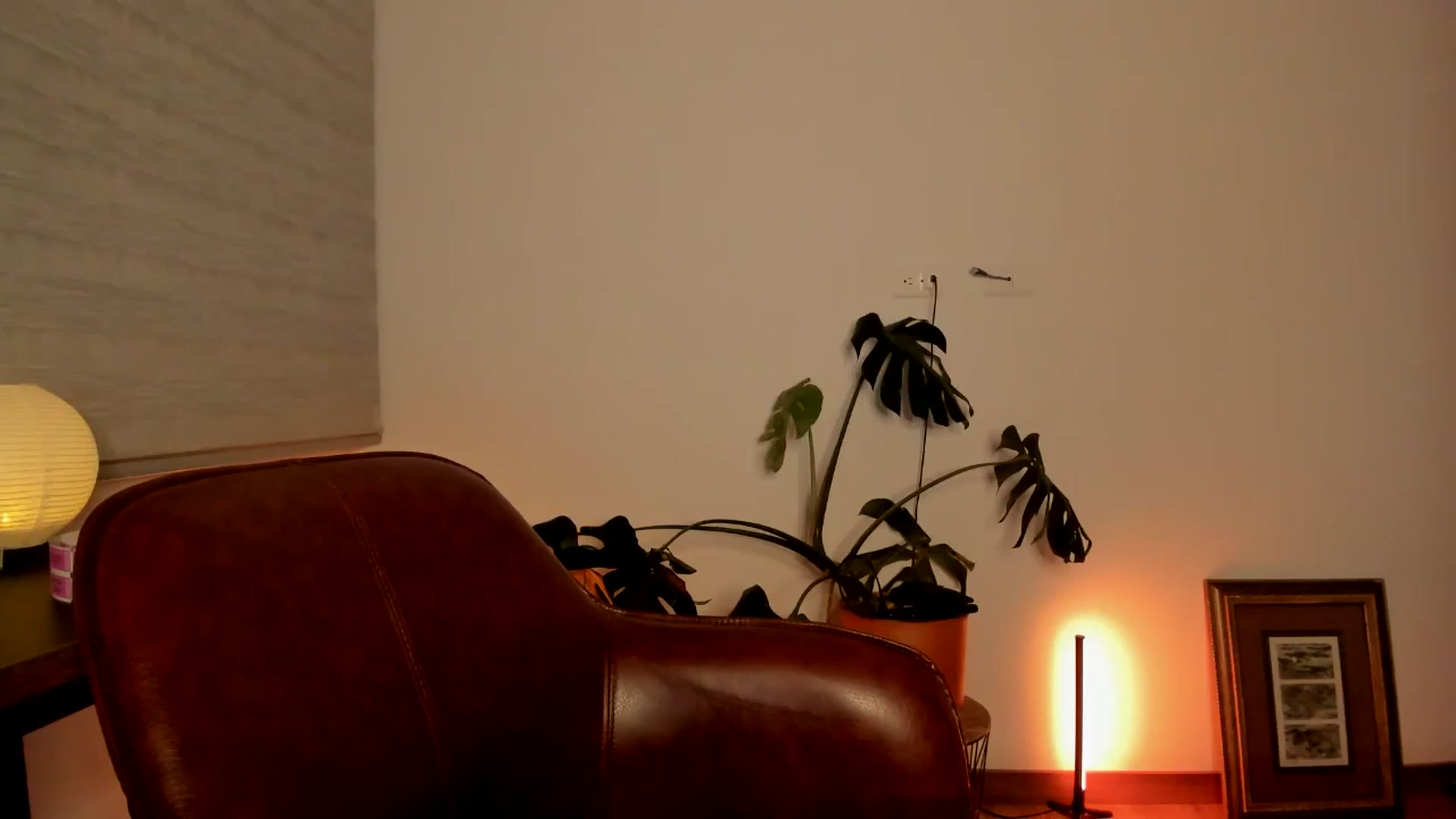Gallery image thumbnail from Lindsoft's myfreecams stream on, 05/11/2024, 04:33 image 2 of 20