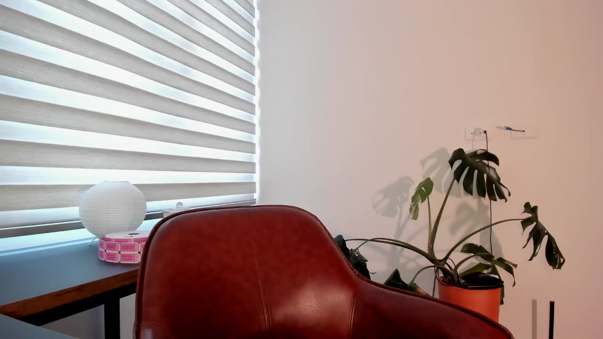 Gallery image thumbnail from Lindsoft's myfreecams stream on, 05/13/2024, 23:05 image 15 of 20
