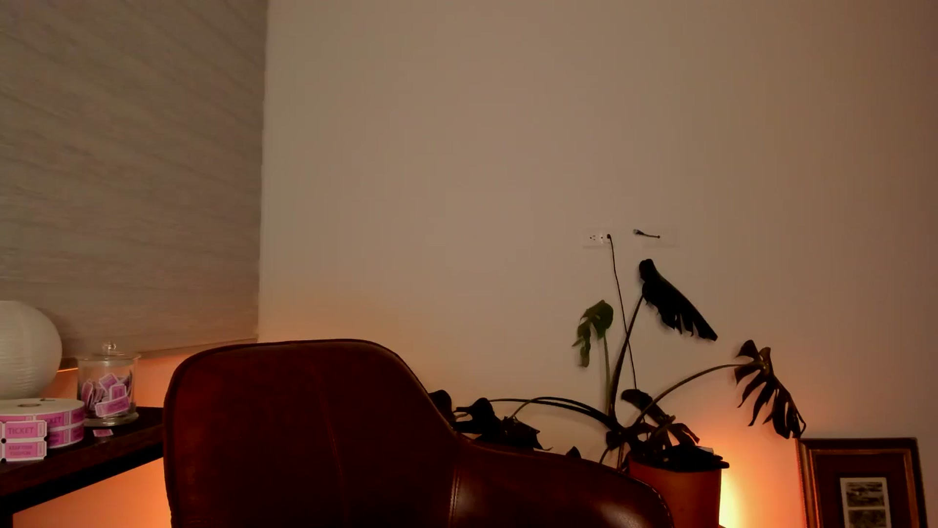 Gallery image thumbnail from Lindsoft's myfreecams stream on, 05/15/2024, 03:24 image 7 of 20