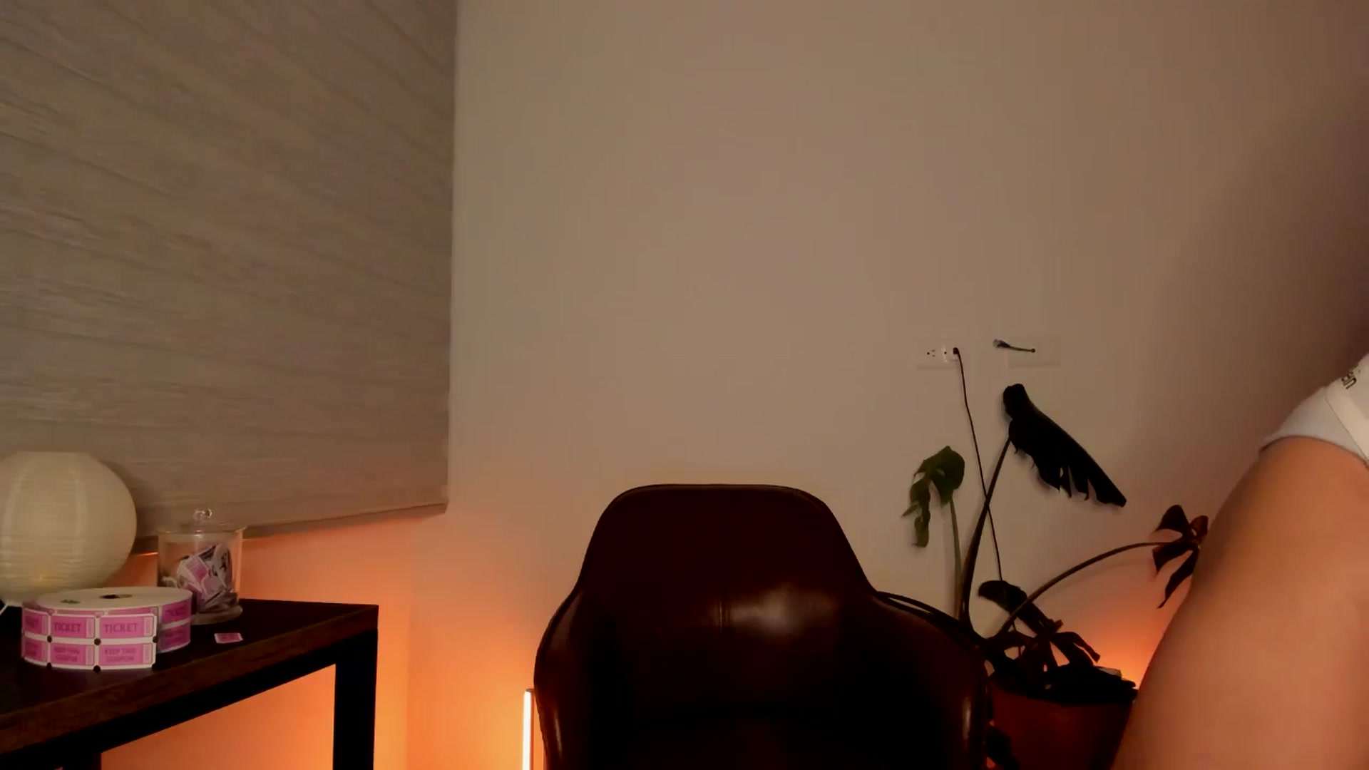 Gallery image thumbnail from Lindsoft's myfreecams stream on, 05/15/2024, 03:24 image 2 of 20