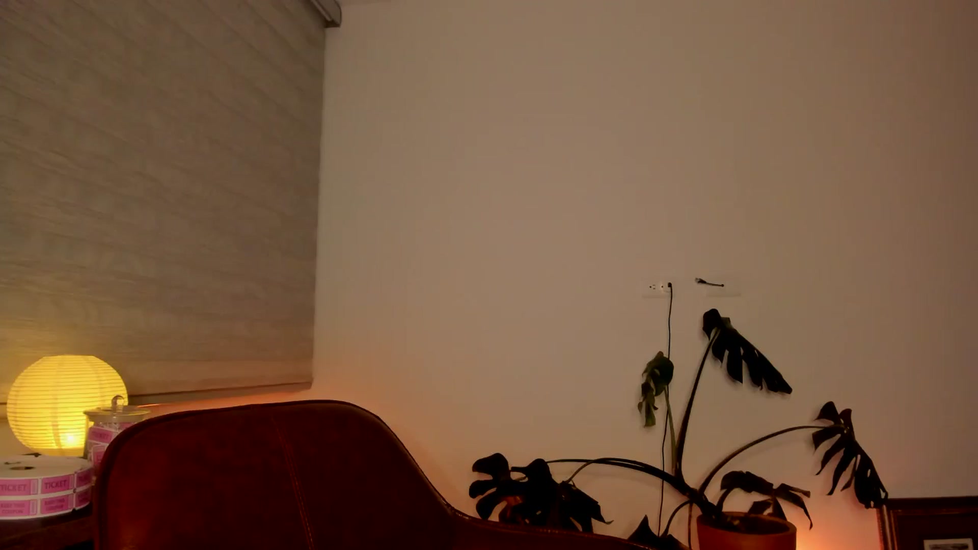 Gallery image thumbnail from Lindsoft's myfreecams stream on, 05/19/2024, 06:02 image 2 of 20
