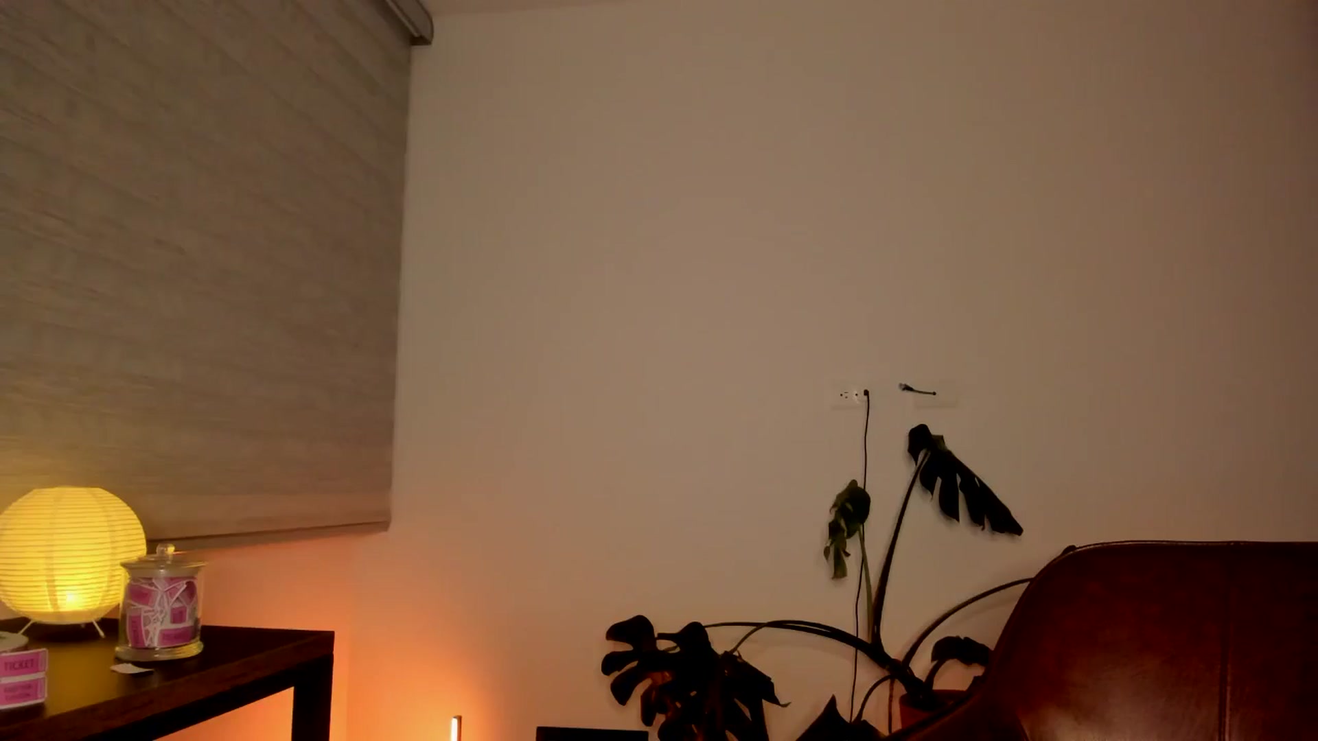 Gallery image thumbnail from Lindsoft's myfreecams stream on, 05/19/2024, 06:02 image 7 of 20