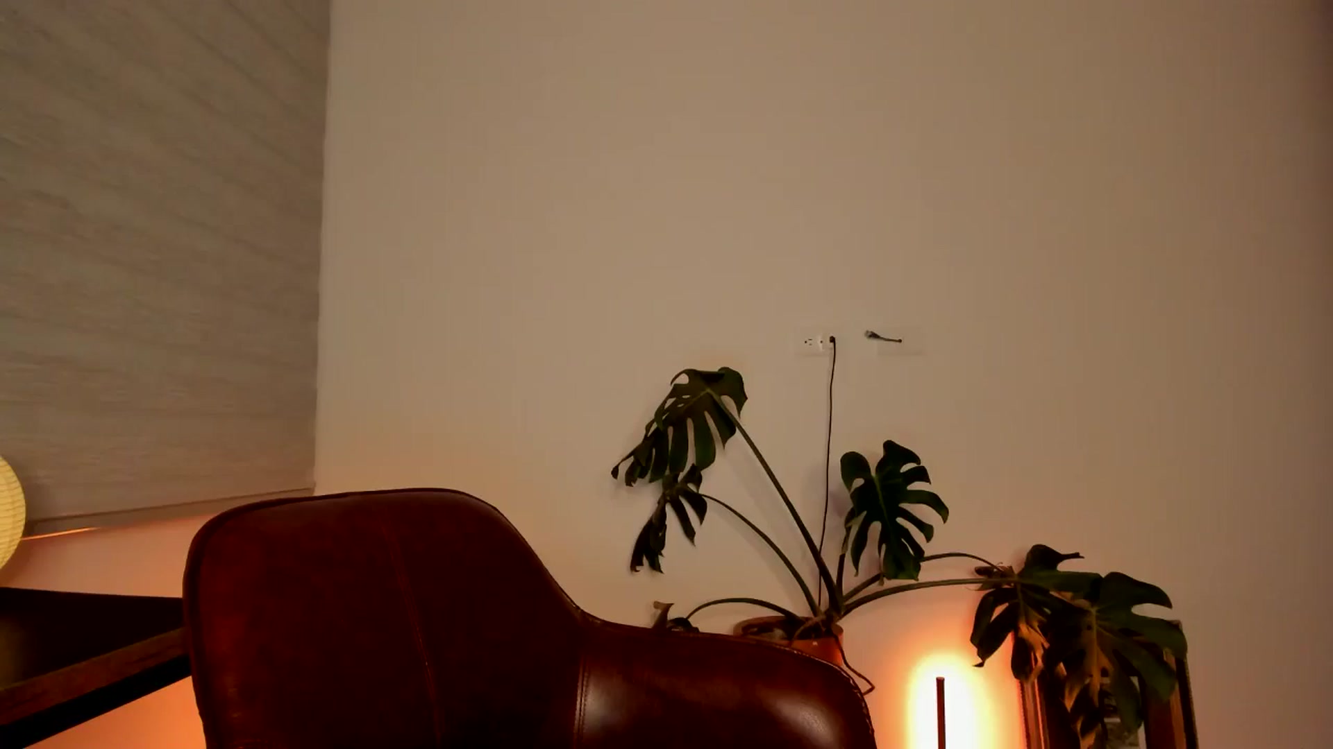 Gallery image thumbnail from Lindsoft's myfreecams stream on, 06/16/2024, 02:25 image 9 of 20