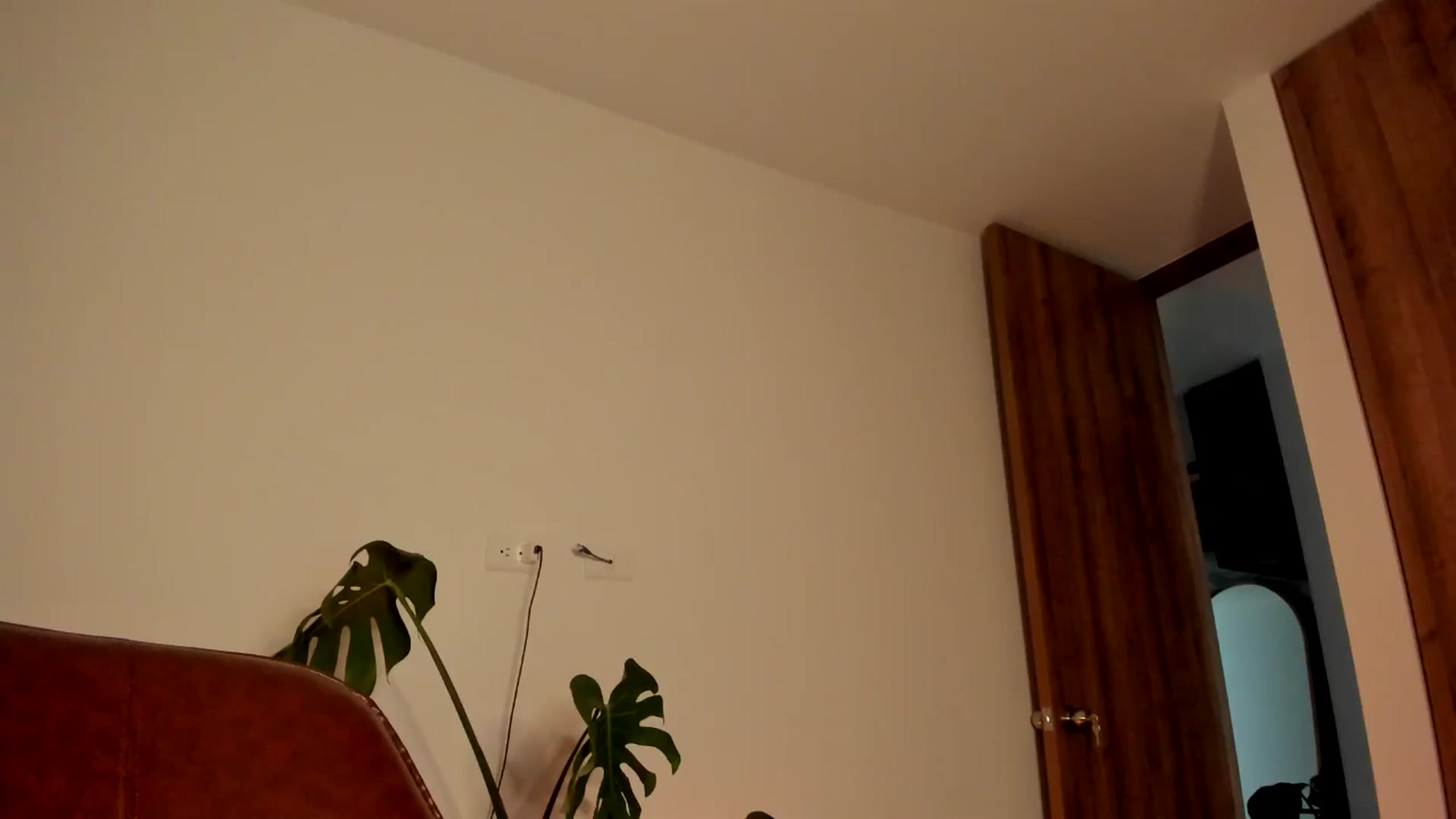 Gallery image thumbnail from Lindsoft's myfreecams stream on, 06/18/2024, 03:35 image 19 of 20