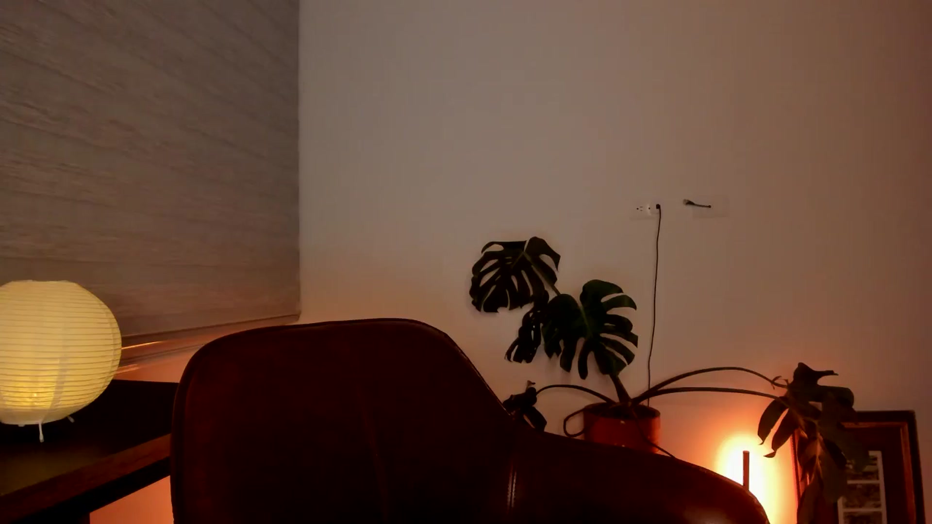 Gallery image thumbnail from Lindsoft's myfreecams stream on, 06/25/2024, 03:55 image 2 of 20