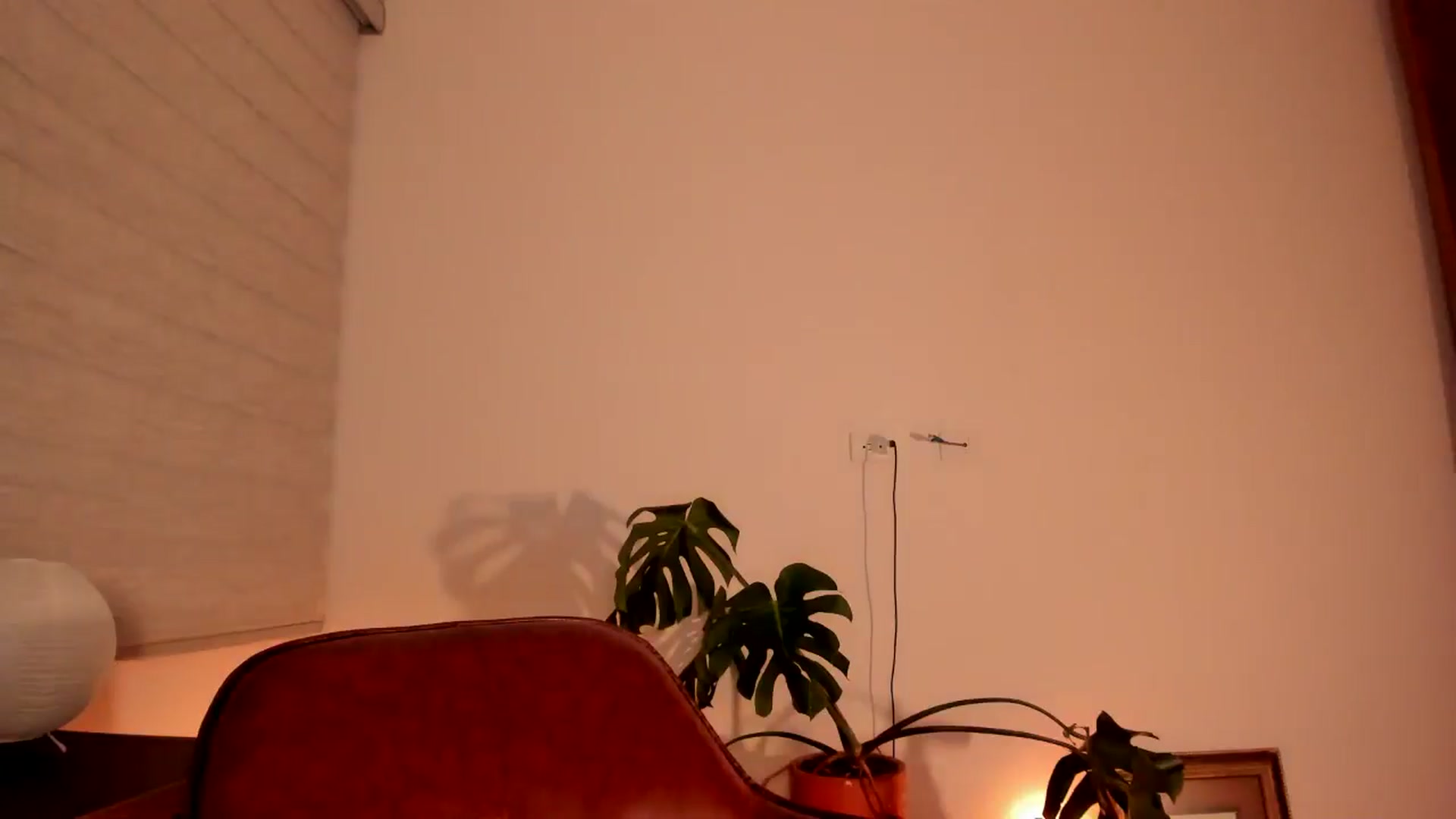 Gallery image thumbnail from Lindsoft's myfreecams stream on, 07/05/2024, 24:00 image 15 of 20