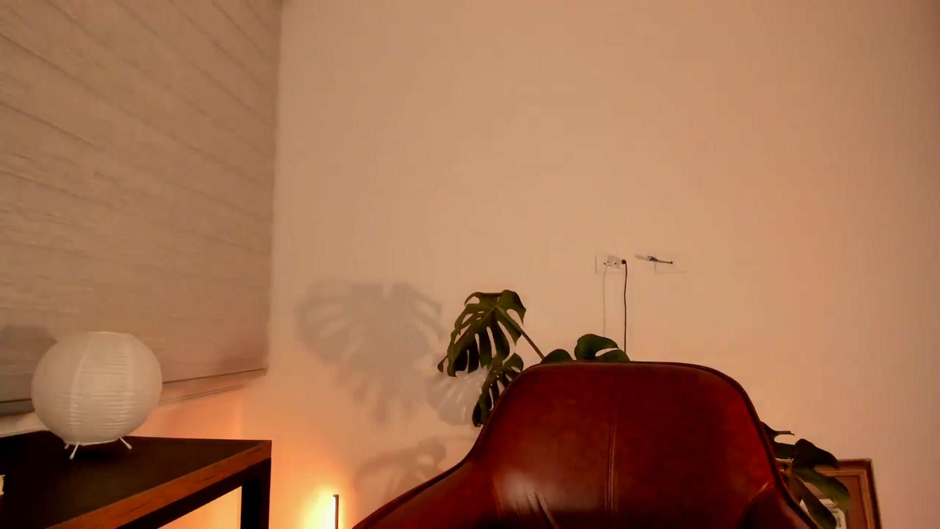 Gallery image thumbnail from Lindsoft's myfreecams stream on, 07/06/2024, 05:37 image 12 of 20