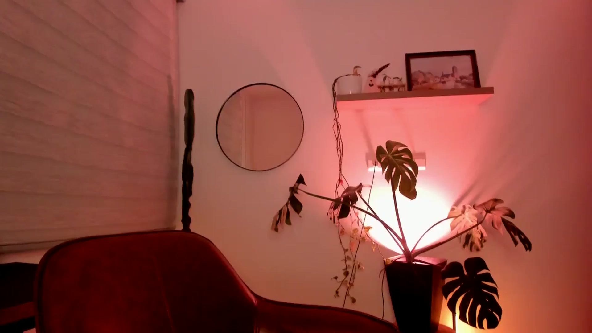 Gallery image thumbnail from Lindsoft's myfreecams stream on, 07/31/2024, 24:48 image 16 of 20