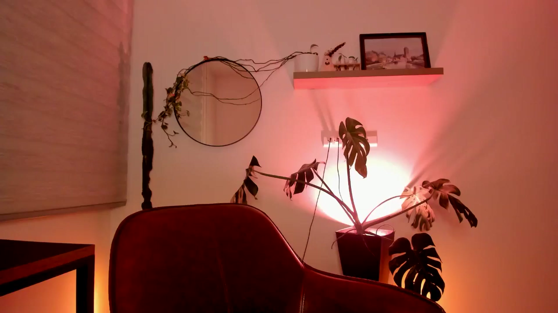 Gallery image thumbnail from Lindsoft's myfreecams stream on, 08/03/2024, 03:40 image 18 of 20