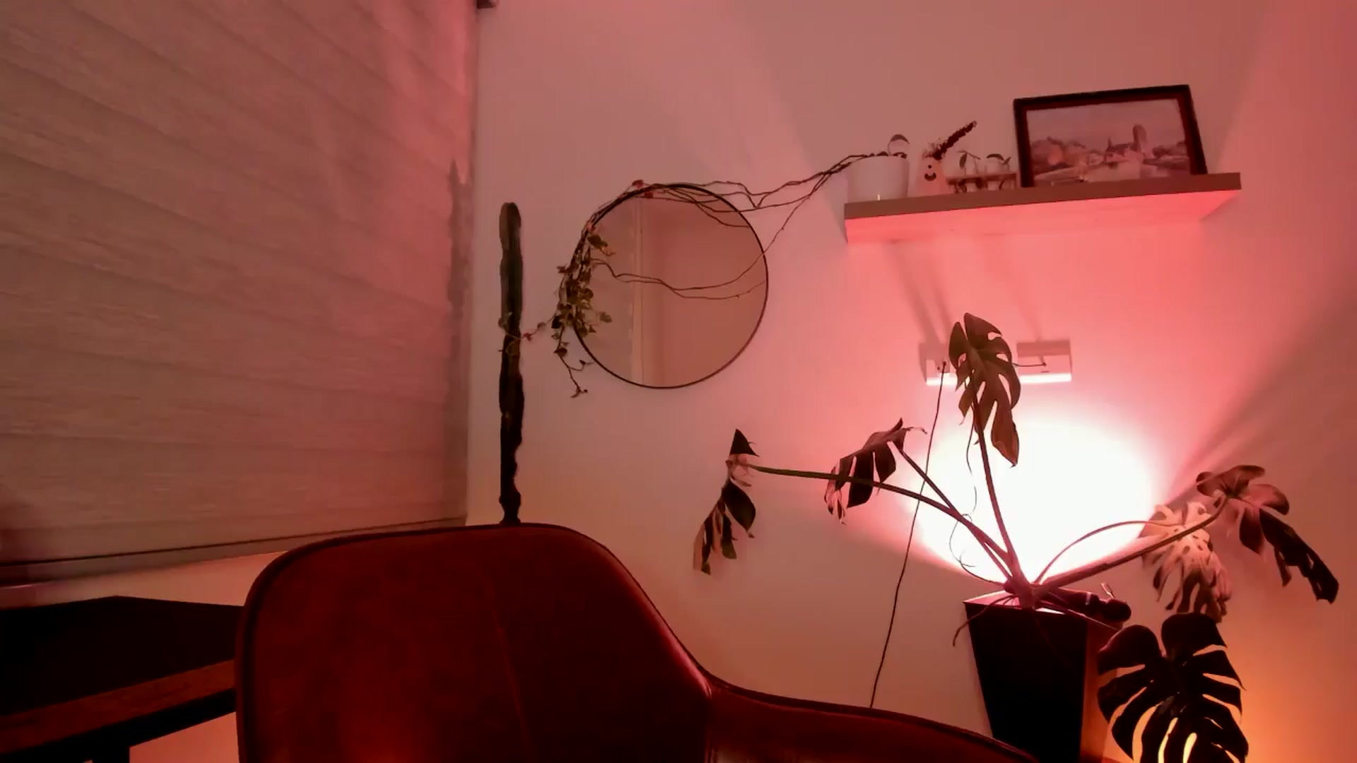 Gallery image thumbnail from Lindsoft's myfreecams stream on, 08/09/2024, 04:19 image 17 of 20