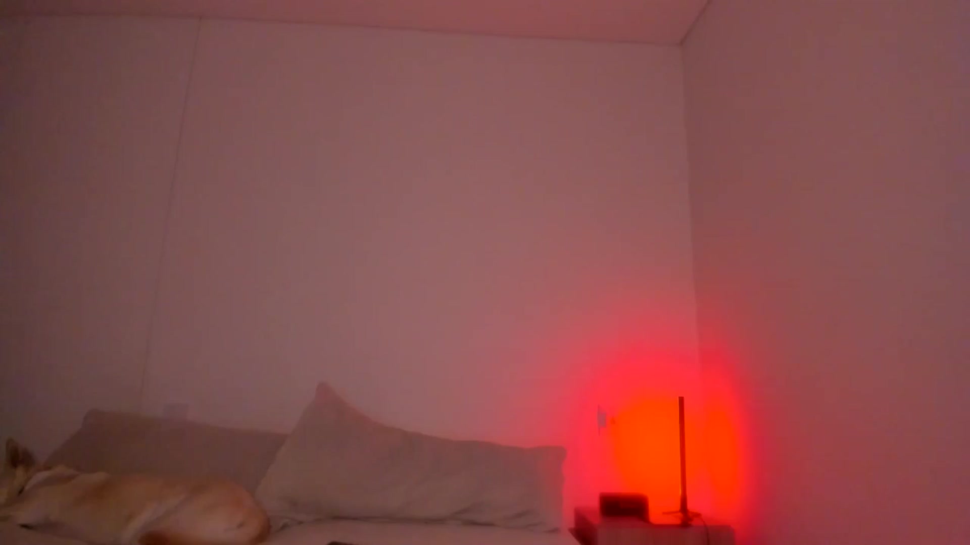 Gallery image thumbnail from Lindsoft's myfreecams stream on, 08/24/2025, 04:32 image 5 of 20