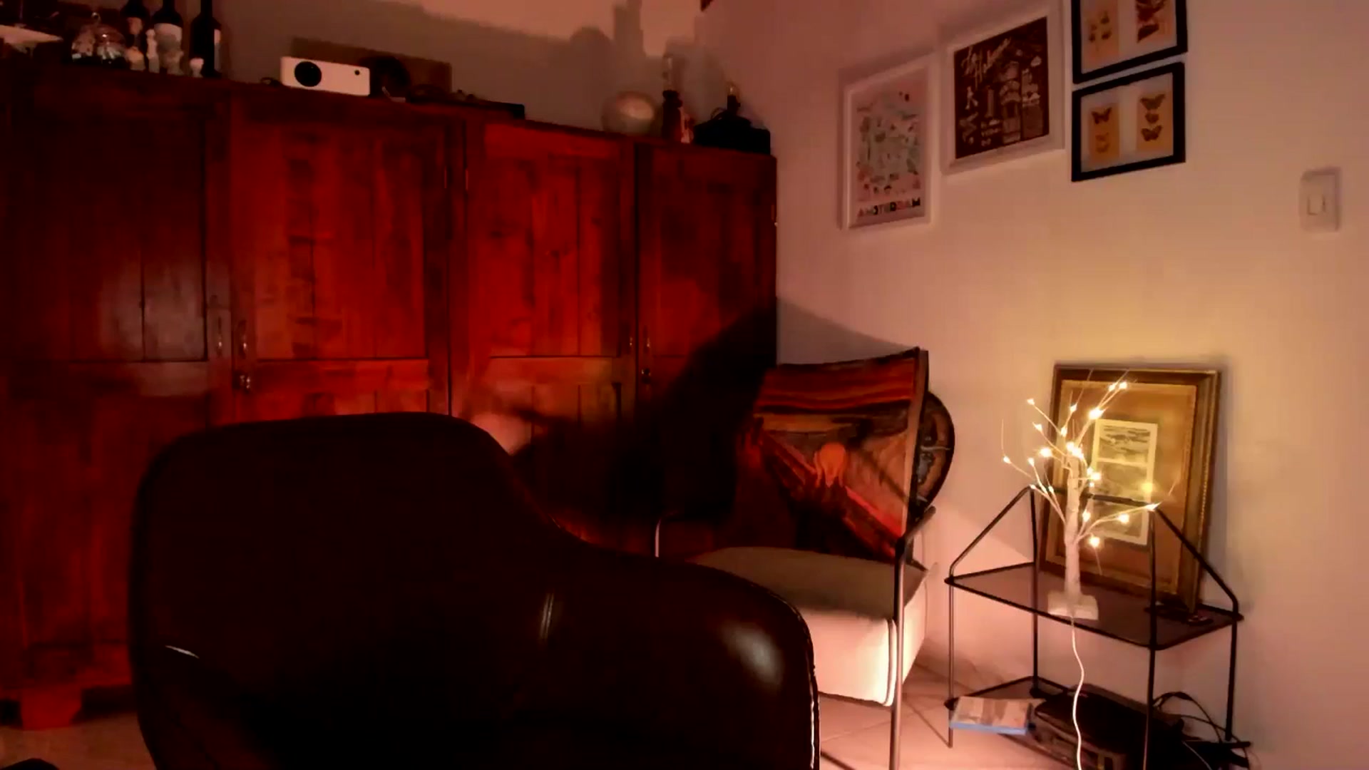 Gallery image thumbnail from Lindsoft's myfreecams stream on, 12/29/2025, 24:32 image 17 of 20