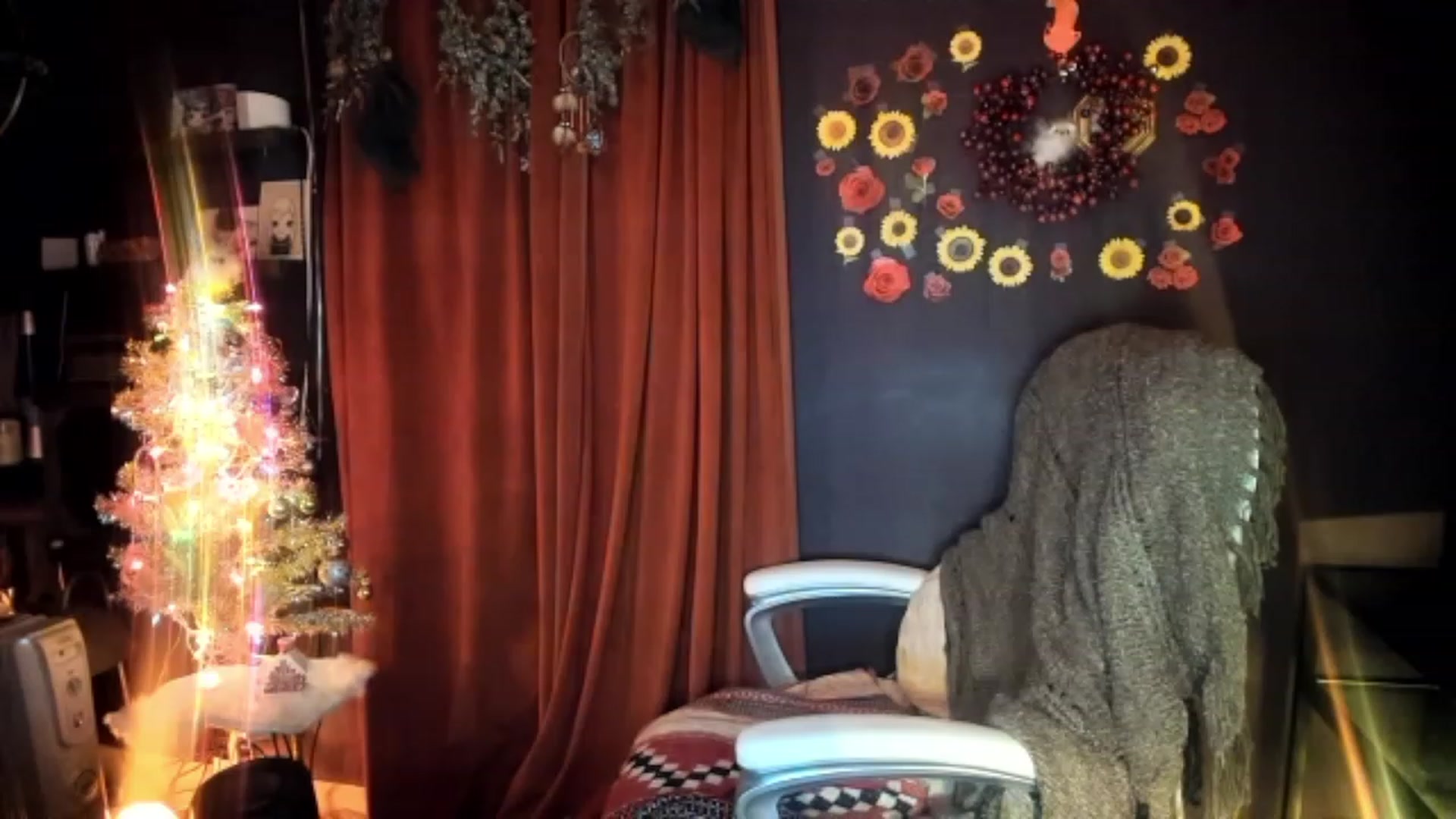 Gallery image thumbnail from Linnea_'s myfreecams stream on, 12/23/2022, 07:15 image 15 of 20