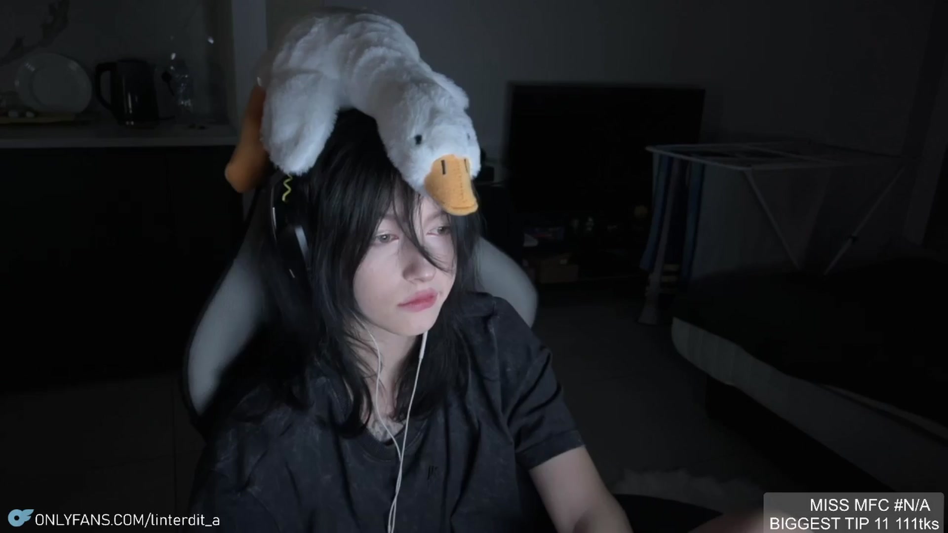 Gallery image thumbnail from Linterdit_A's myfreecams stream on, 04/09/2024, 23:26 image 18 of 20