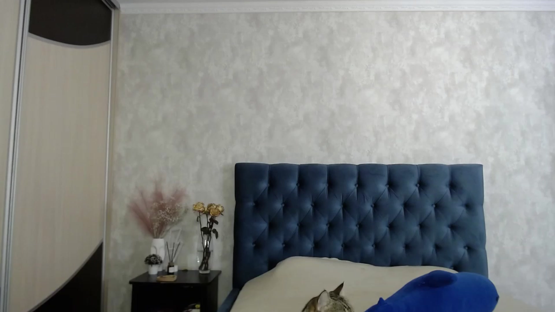 Gallery image thumbnail from Lio_noy's myfreecams stream on, 04/23/2023, 22:19 image 6 of 20