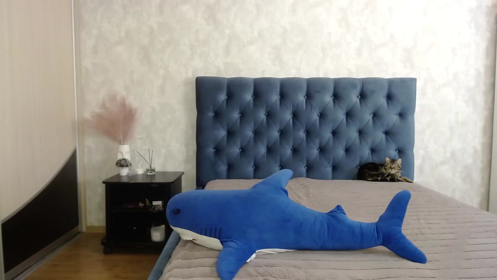 Gallery image thumbnail from Lio_noy's myfreecams stream on, 05/14/2023, 23:03 image 8 of 20