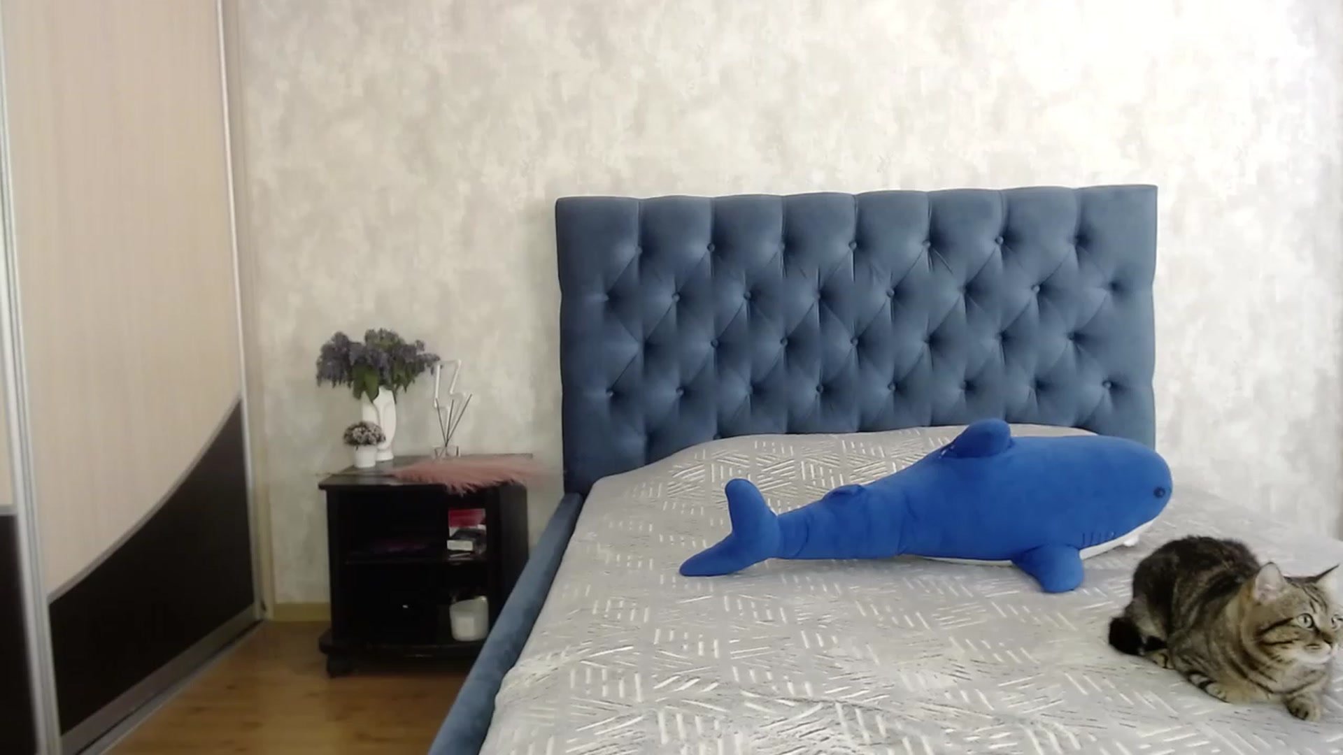 Gallery image thumbnail from Lio_noy's myfreecams stream on, 05/23/2023, 14:41 image 6 of 20