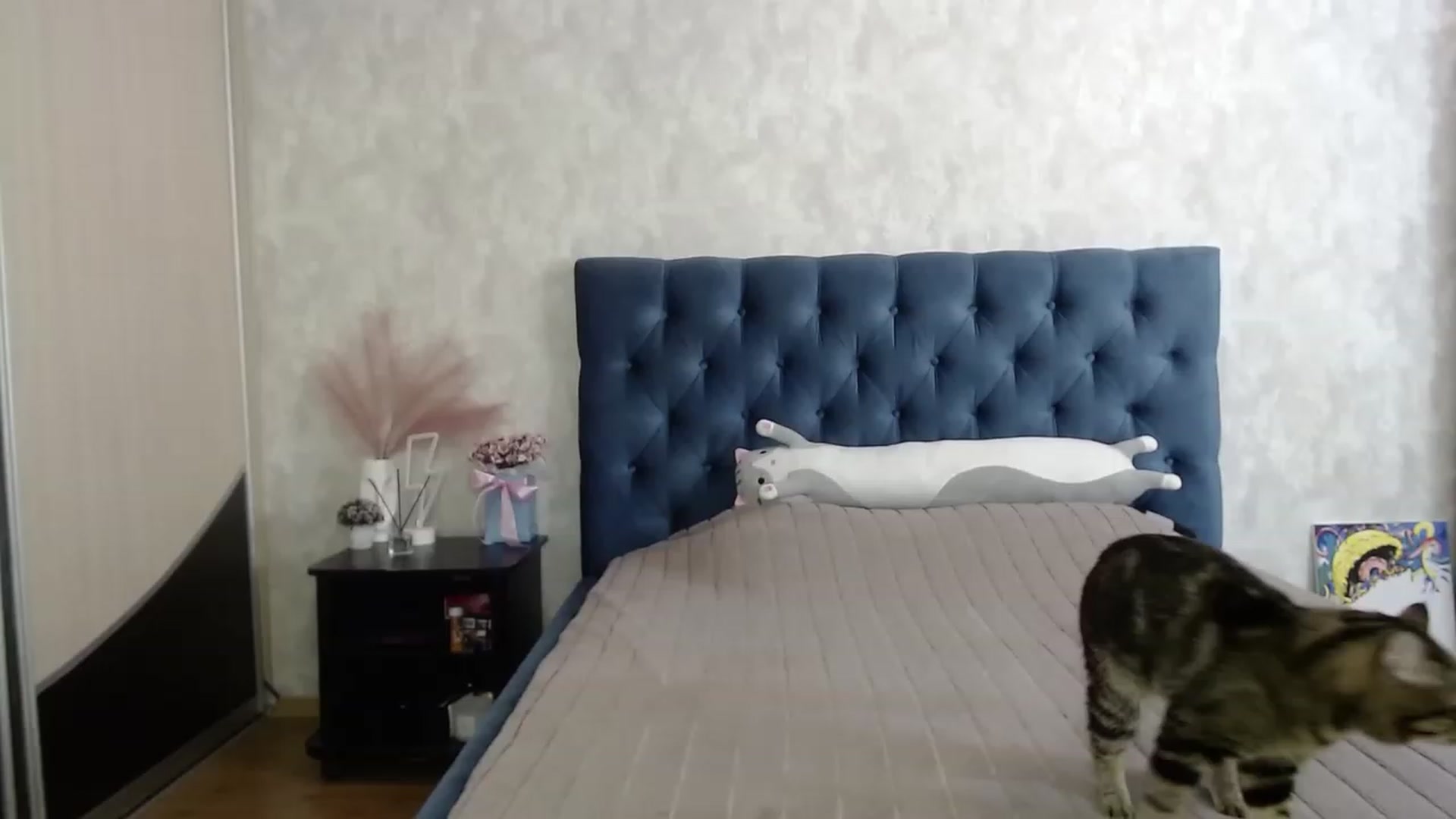 Gallery image thumbnail from Lio_noy's myfreecams stream on, 06/14/2023, 12:45 image 7 of 20