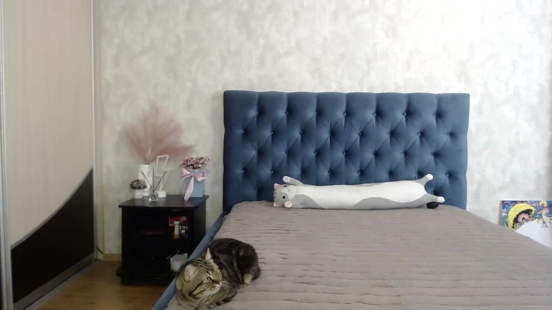 Gallery image thumbnail from Lio_noy's myfreecams stream on, 06/15/2023, 23:36 image 6 of 20