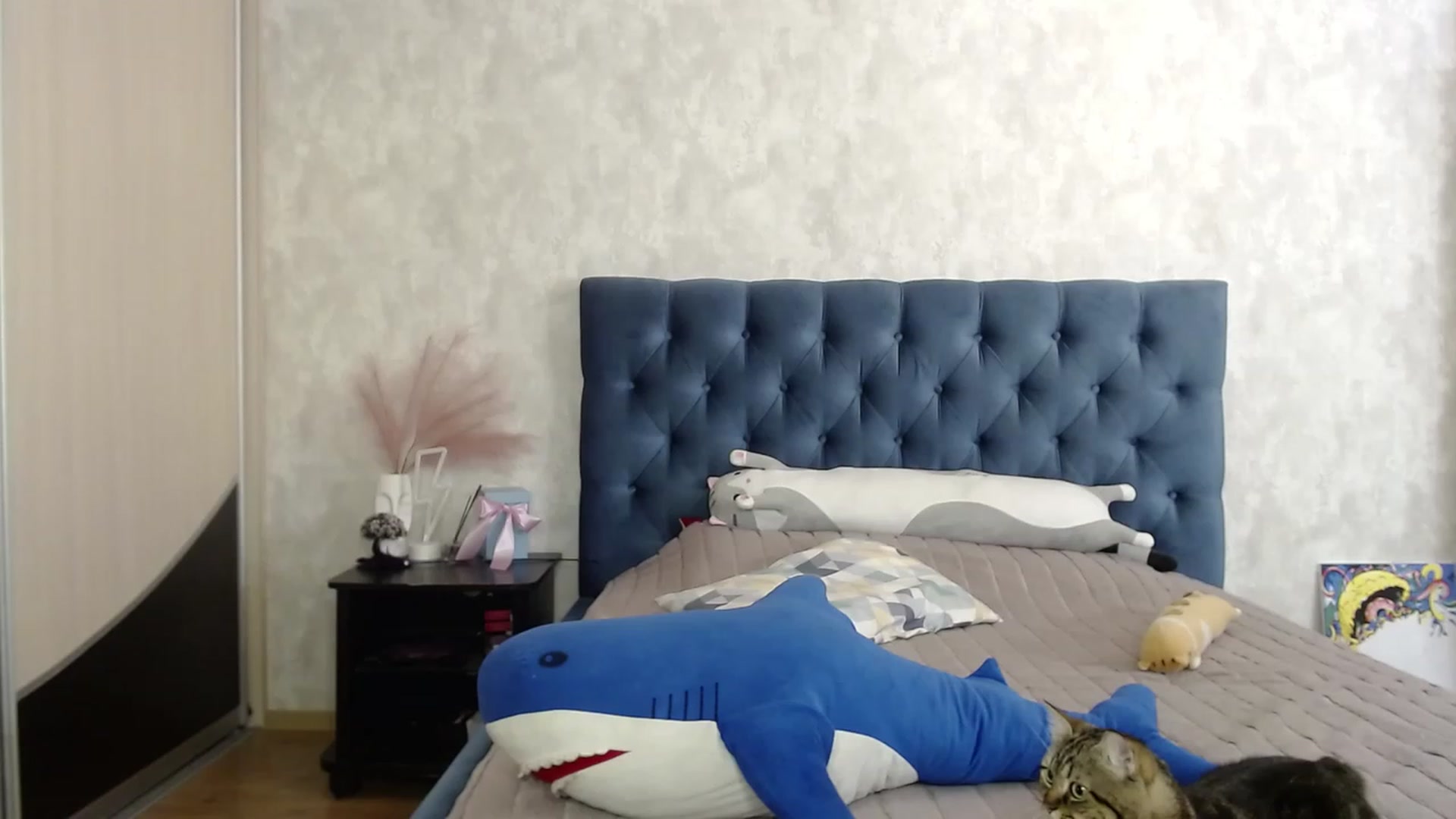 Gallery image thumbnail from Lio_noy's myfreecams stream on, 07/12/2023, 23:26 image 12 of 20