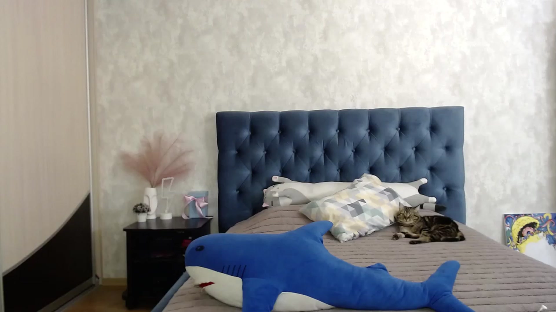 Gallery image thumbnail from Lio_noy's myfreecams stream on, 08/12/2023, 13:48 image 9 of 20