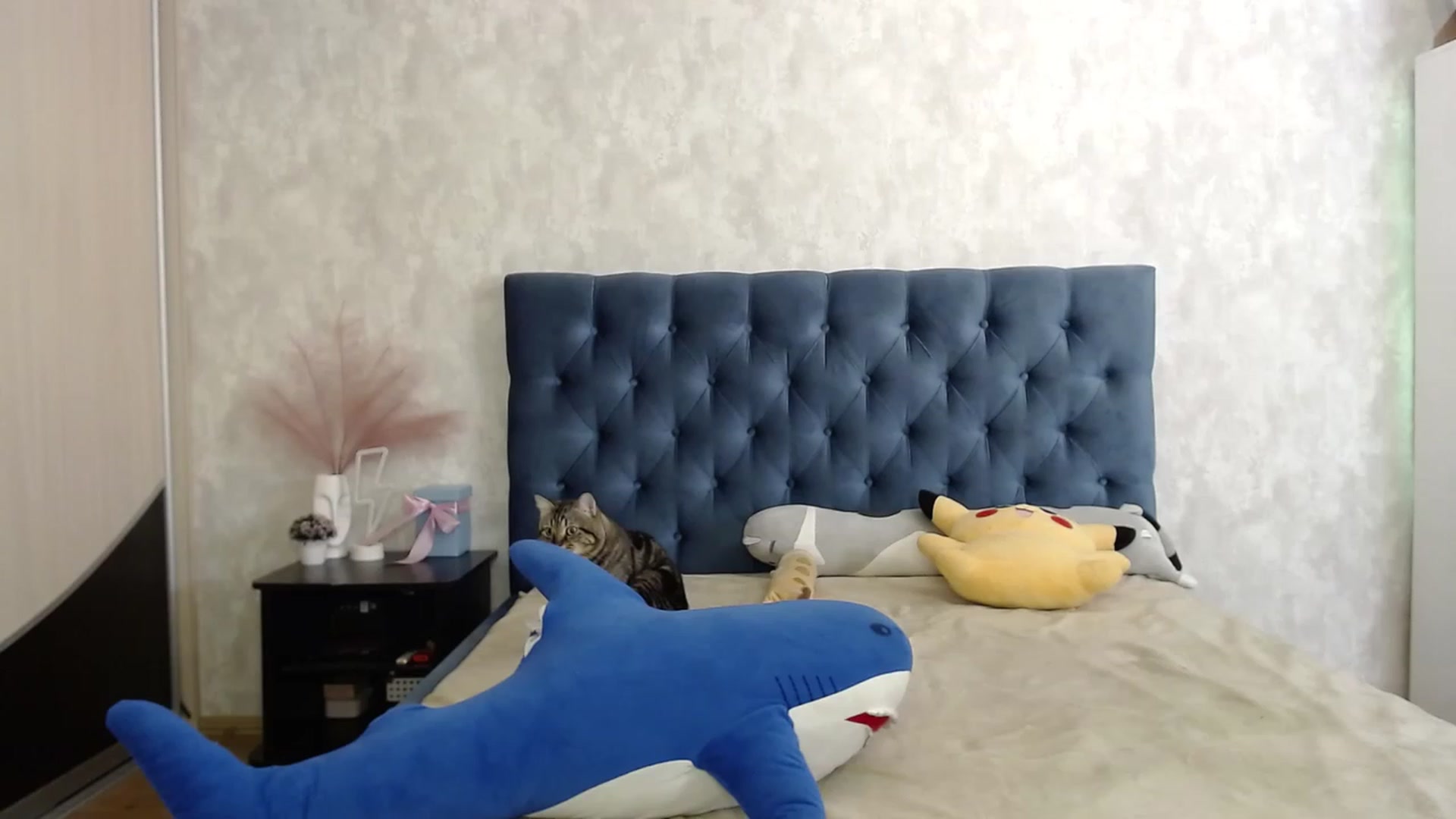 Gallery image thumbnail from Lio_noy's myfreecams stream on, 09/22/2023, 23:22 image 4 of 20